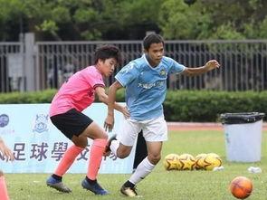 足球爆料视频大全  第1张